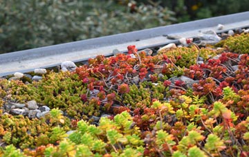 the cost of Lye Cross green roof installation