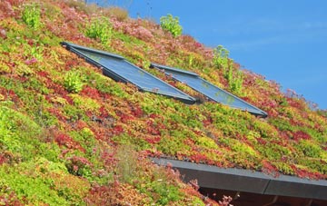 Lye Cross living roof systems