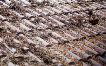 Lye Cross roof cleaning companies